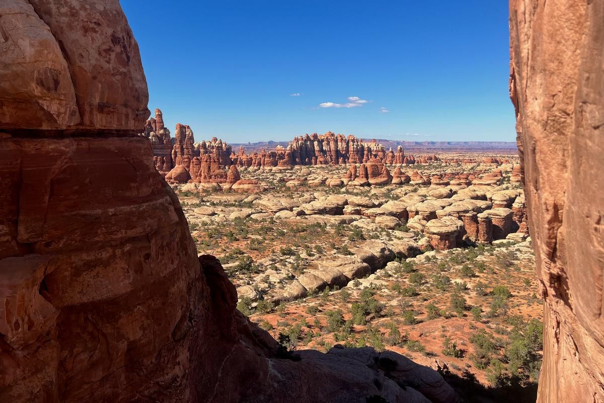 Needles District