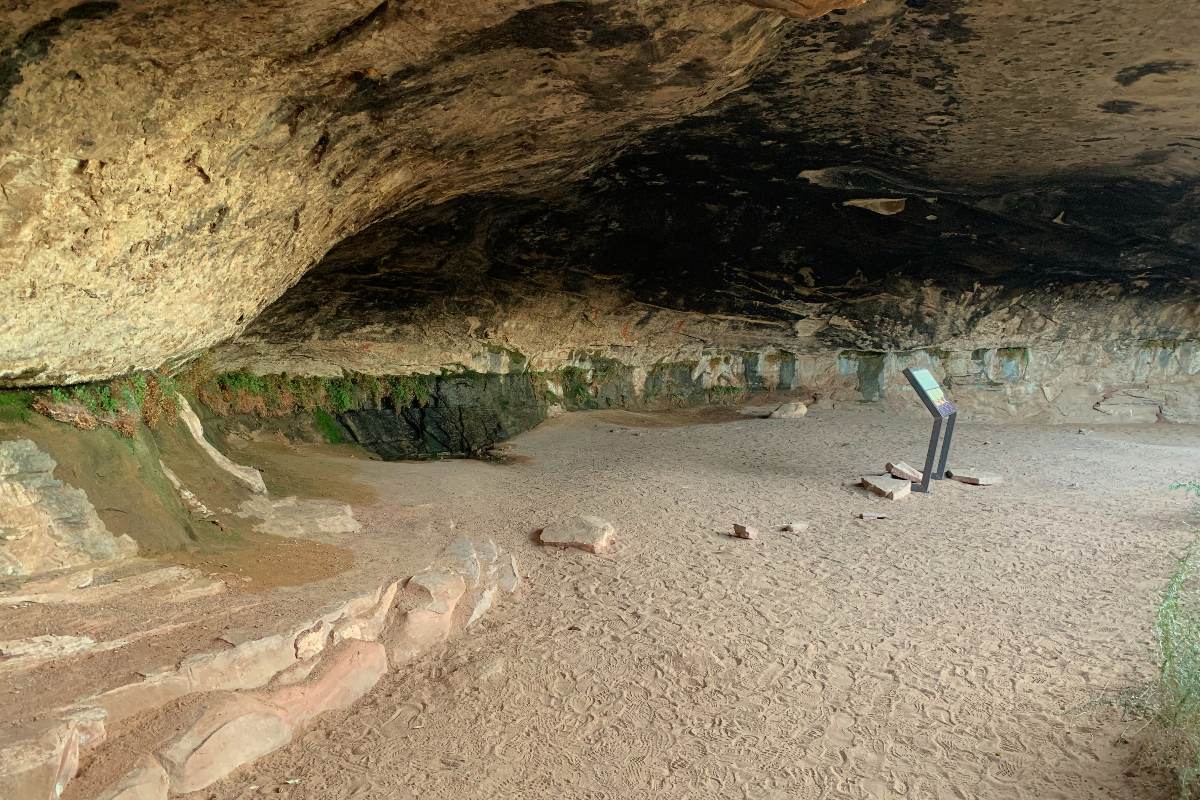 Cave Spring Trail