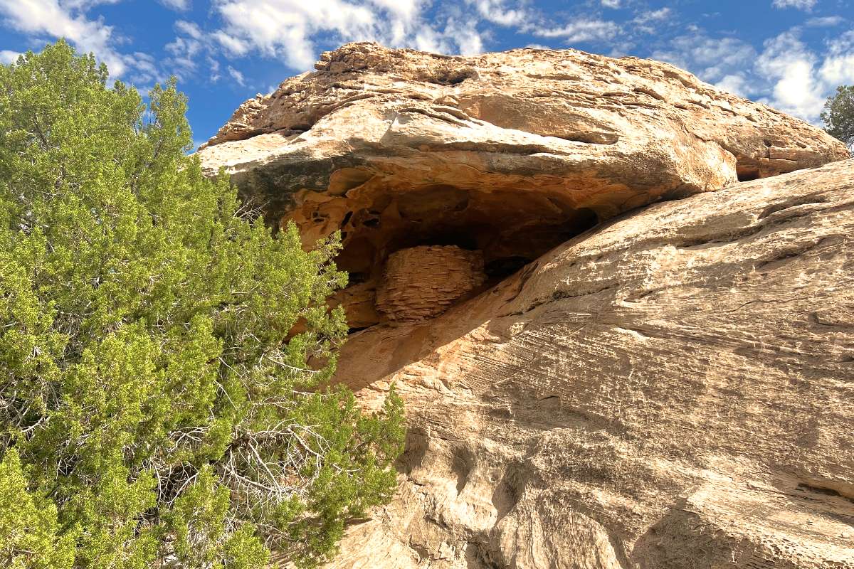 Stone Storehouse Trail